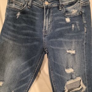 Vervet Distressed Jeans in Blue Wash